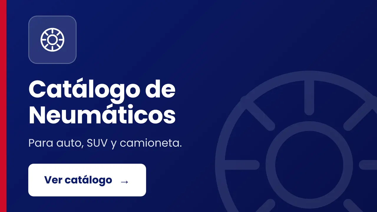 Catálogo de neumáticos